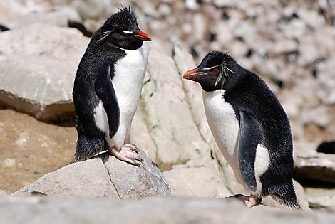 Our Featured Tours