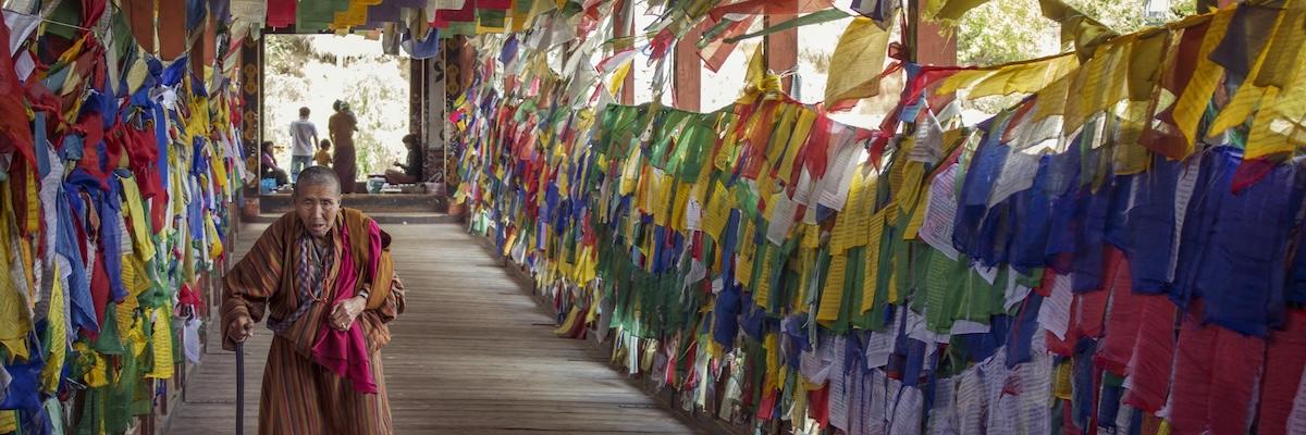 Save up to 30% on 600+ Adventures Across All 7 Continents